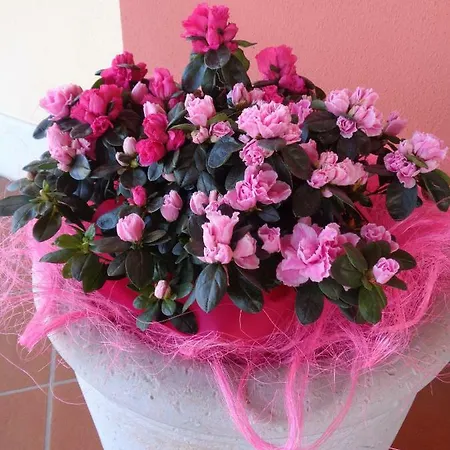 Agriturismo San Salvar *